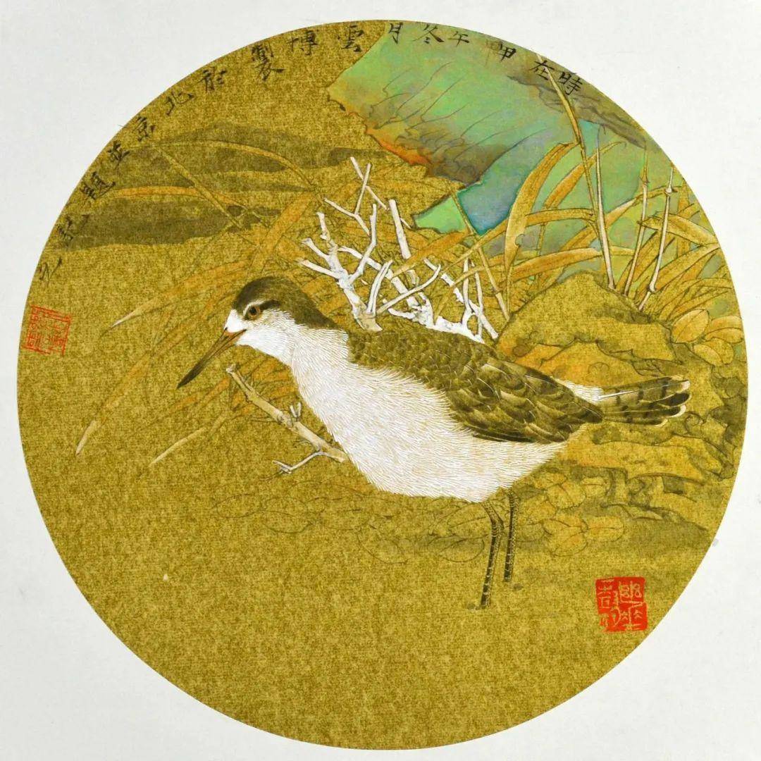 素净雅逸——刘云博花鸟画作品欣赏