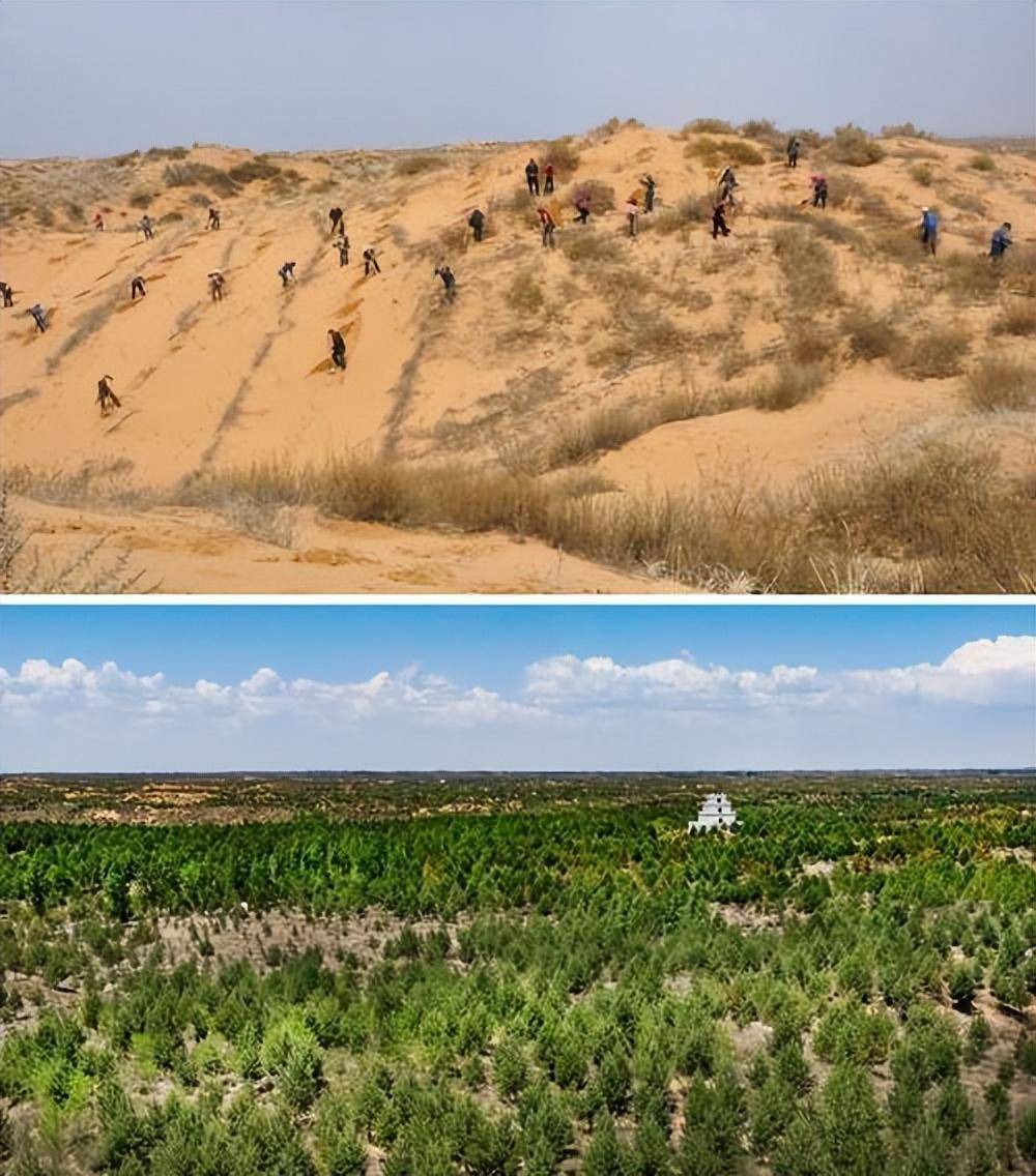 千年沙漠成绿洲?黄河输沙量每年减少4亿吨?中国人种起树有多狠