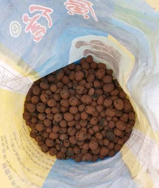 盆底埋3样"小东西",5年不烂根放心养!_陶粒_排水_花友