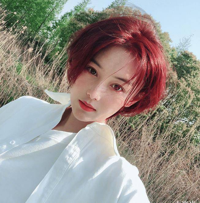 原创张馨予自己动手染发价格让人意外确定是女星的消费水平