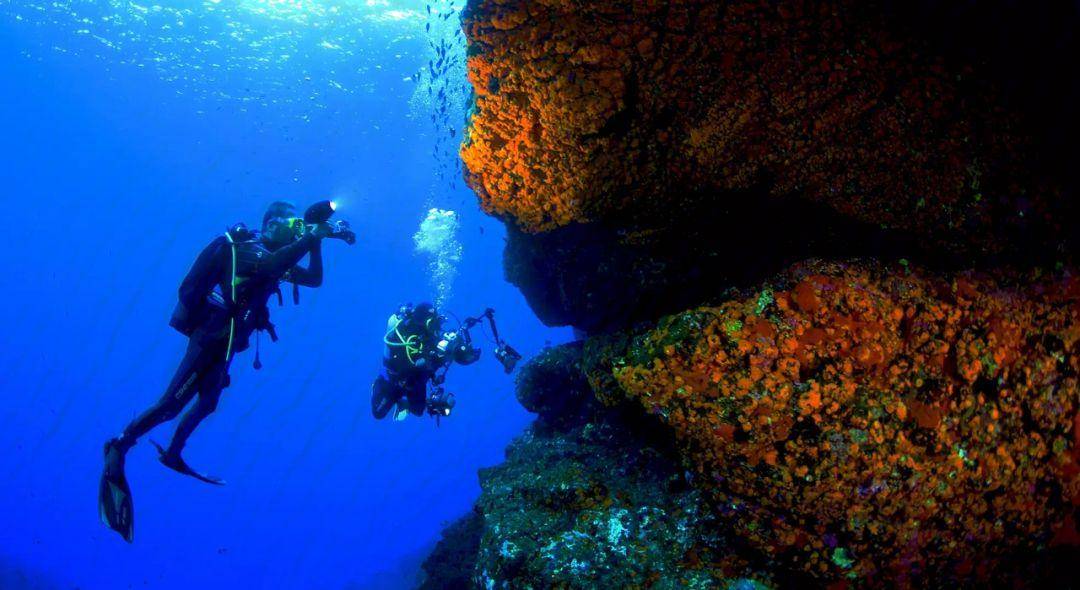 大西洋深处的神秘发现:是外星飞碟,还是人类失落的文明?