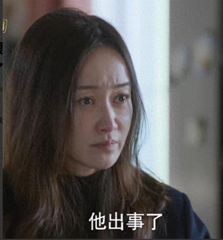 原创女演员长相很重要江河日上48岁赵子琪俨然成了官太太专业户