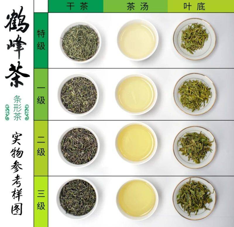 2000份免费茶样蓄势待发万人评茶邀请赛再启动面向全国搜寻茶界伯乐