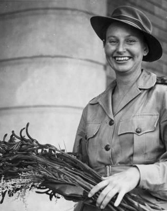 原创二战中的邦加岛事件究竟发生了什么22名护士仅1人活下来