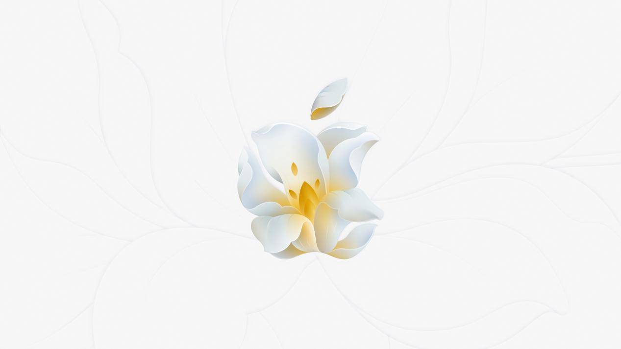 AppleStoreShanghai静安 オープン記念 アップルストア バッジ AppleStoreShanghai静安 オープン記念 アップルストア バッジ