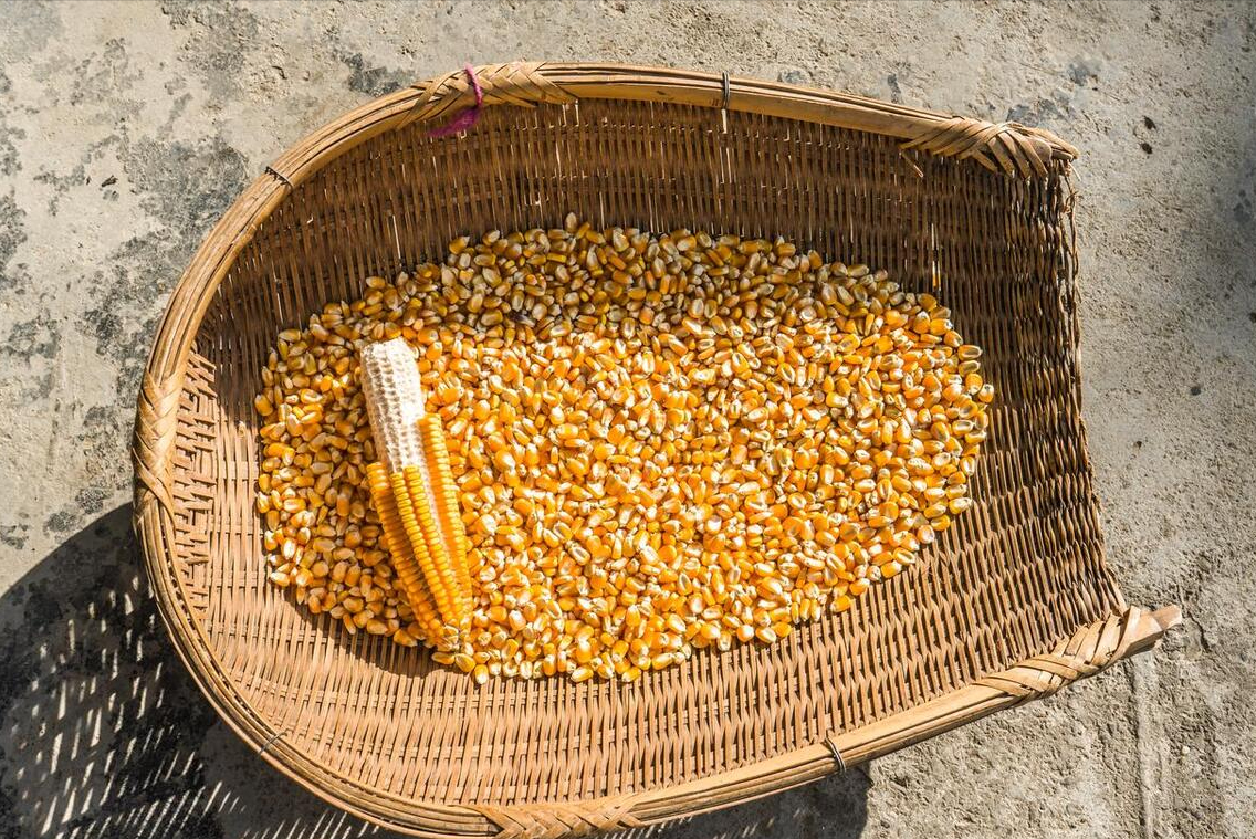 二月二龙抬头几点剃头最吉利记住这4个时间一年发财又顺利