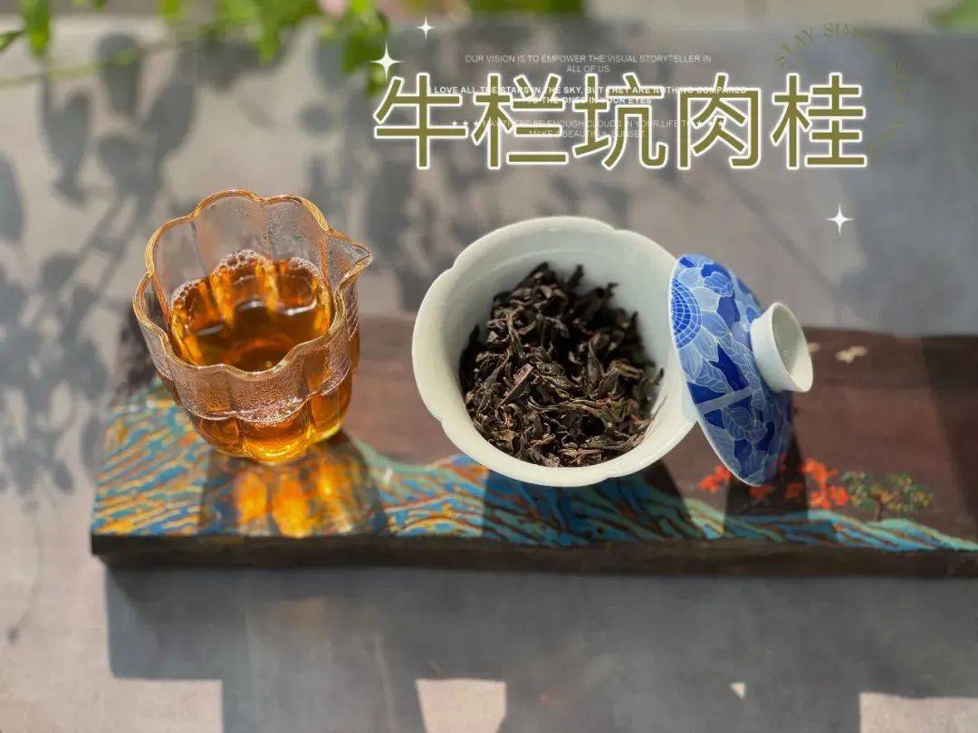 原创肉桂还在吆喝去年武夷山的水仙就要卖光了是真的吗