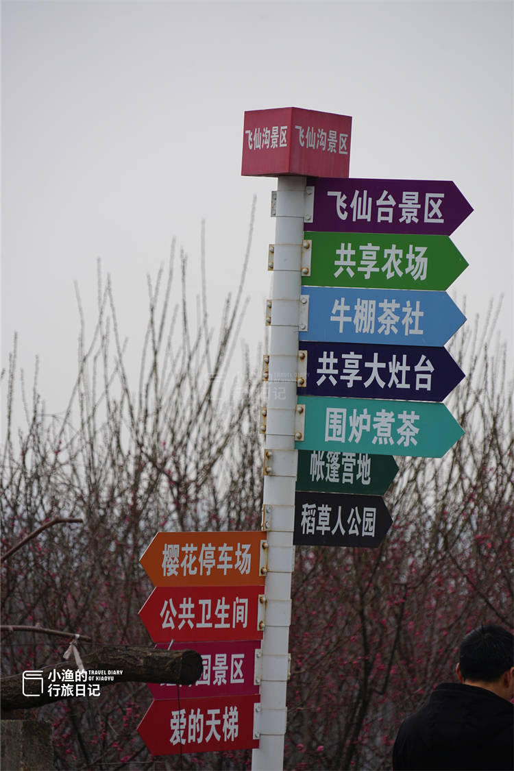 原创又一个西安秦岭赏花秘境原生态没门票这周末花期正好