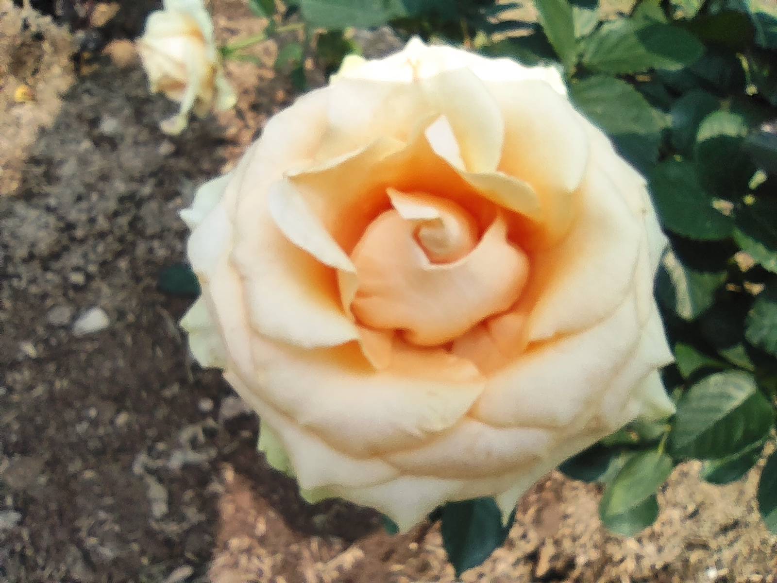 普通人辟谷故事234家里盖房老公不管我就自己设计督工