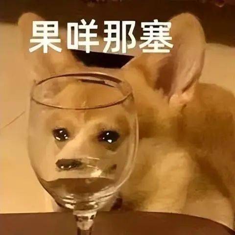 柯基帮主人看套圈摊位结果娃娃被套走了追着客人骂几条街