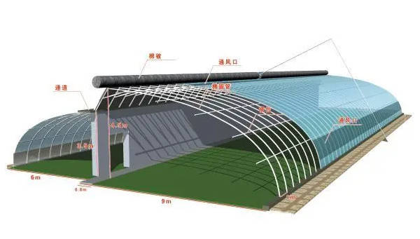 简易大棚搭建方法图片