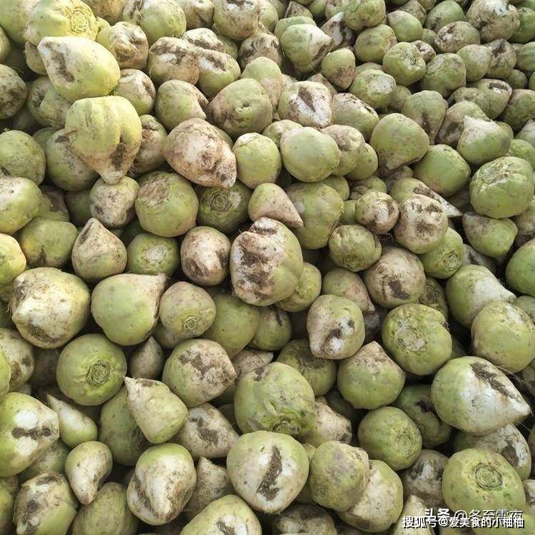 秋季腌咸菜,遇见这菜别手软,买10斤腌上,开胃助消化,秋吃到冬_芥菜