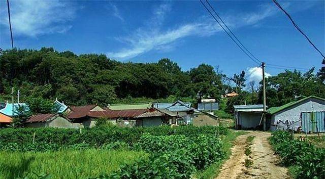 韩国农村已成亚洲典范,中国农村能否改变局面?