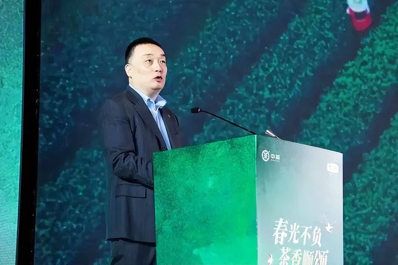 茶事推送|春茶"抢鲜"来袭,火热开市中