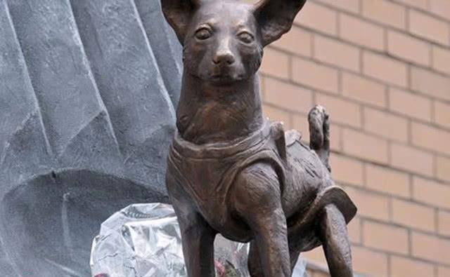 只狗成为第一个进入太空的动物,至今还留在地球轨道上_莱卡_苏联_人类