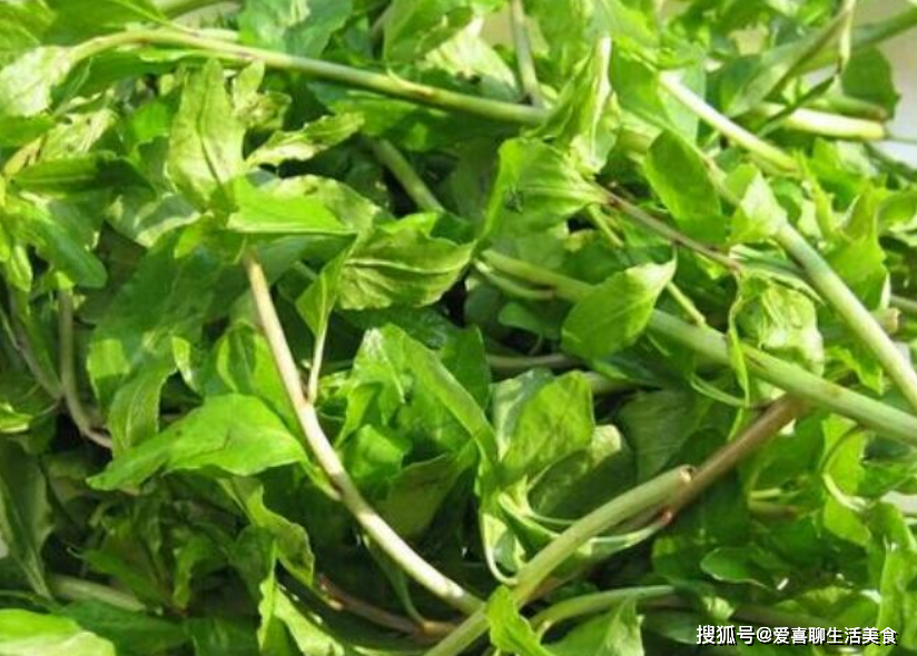 生发的季节,很多野菜都长出嫩叶,小树的枝条上也长出了绿油油的嫩芽