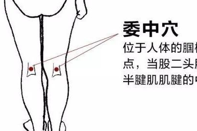 坐骨神经痛,腰臀疼痛,下肢痿痹,经常按摩这几个穴位!