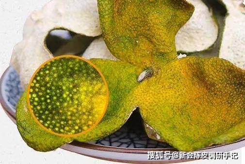 新会陈皮同一棵树摘的柑皮在不同地方存几年后变得不一样了