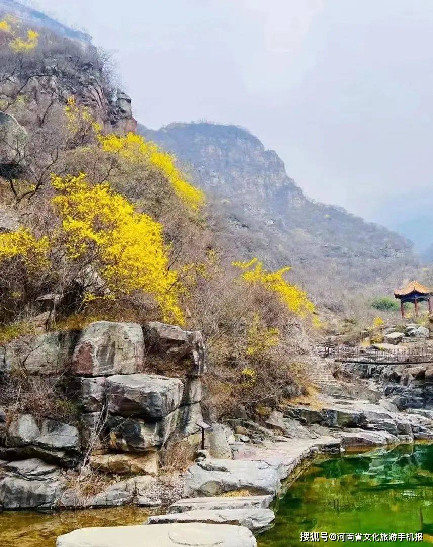 2024新乡赏花地图正式上线_景区_活动_游客