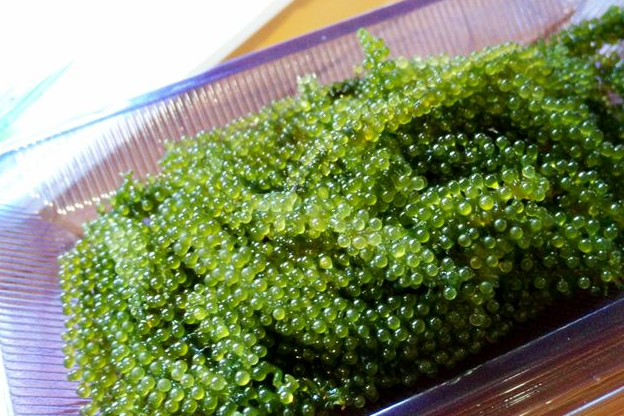 原创西餐厅里的迷你小葡萄能不能吃老板一看就是门外汉