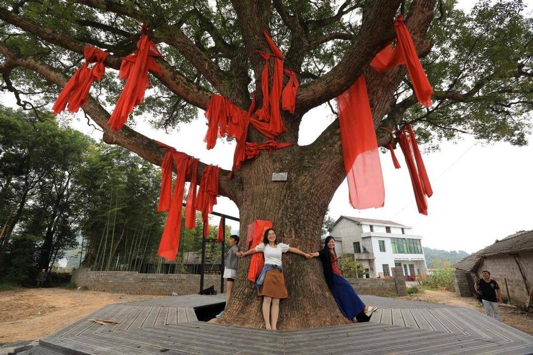 生态立镇,文旅美镇 | 湖南益阳:桃花江是美人窝,窝心在修山