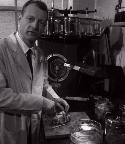 一场车祸,把天才科学家变成普通人,最后连自己的论文都看不明白_苏联