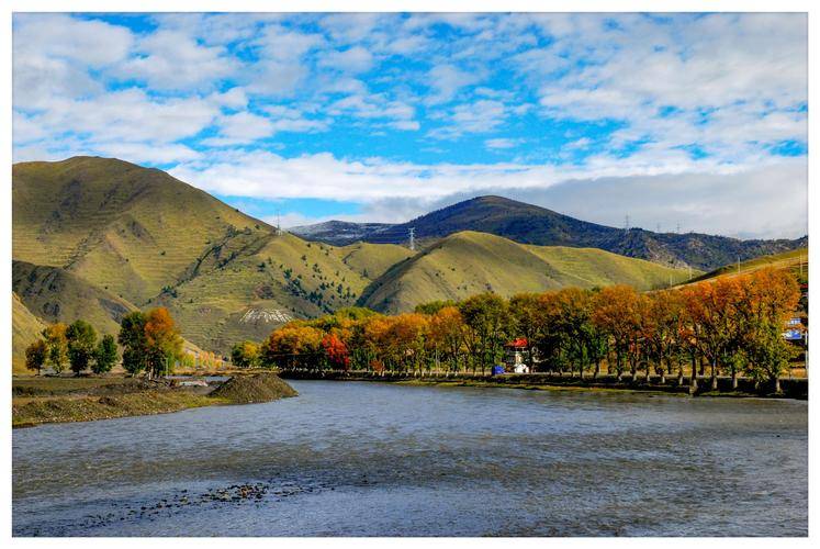 雅江_小婷_餐饮