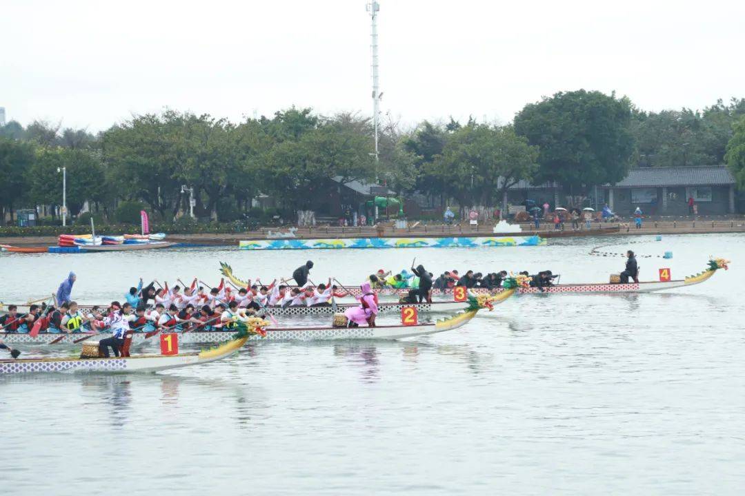 2024年麻涌镇龙舟俱乐部大联赛(第二站)在华阳湖开赛_比赛_东莞市