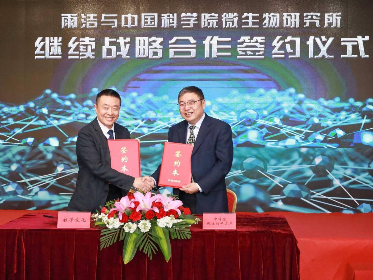 雨洁代言人从郑秀文任贤齐到王源国货王者归来