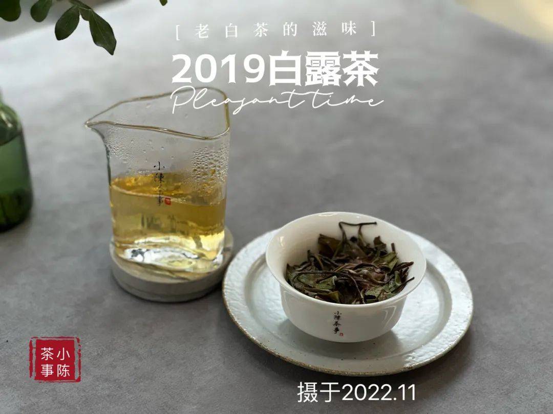 原创白茶总是泡不好喝老茶客说出5大泡茶误区看看你中招了吗