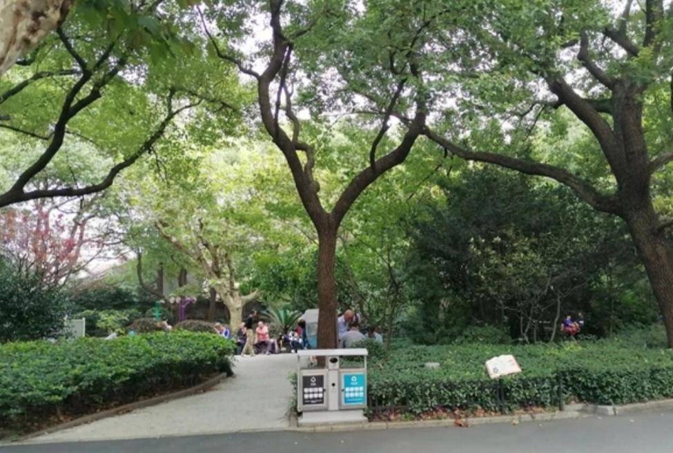 上海杨浦惠民公园不仅古色古香还景色宜人