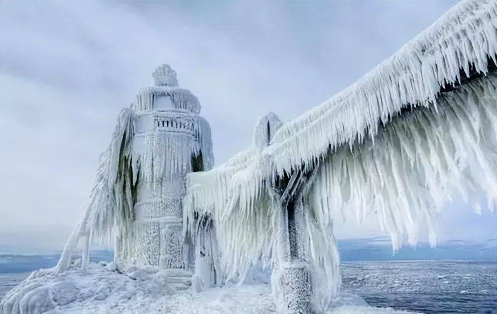 原创冰天雪地中的生存奇迹揭秘北极冬季的苦寒世界
