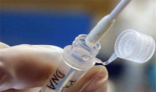 德国警察不愿提起的耻辱追踪16年的女杀手最后竟是1根棉花棒