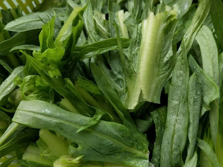 原创以前猪都不吃的菜竟然是个宝宝宝吃了脸色红润长得快