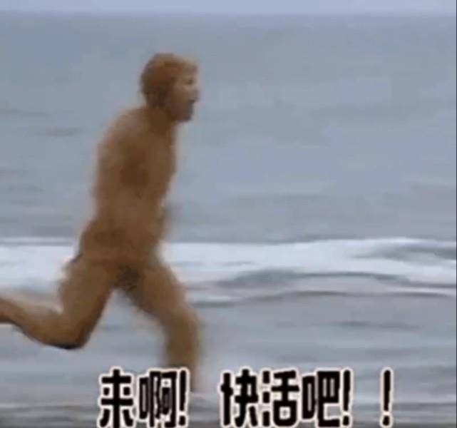 猴子海边奔跑图片