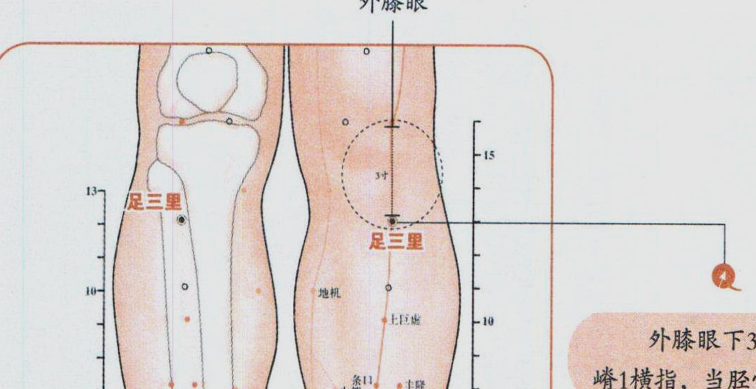 膝盖周围的经络图图片