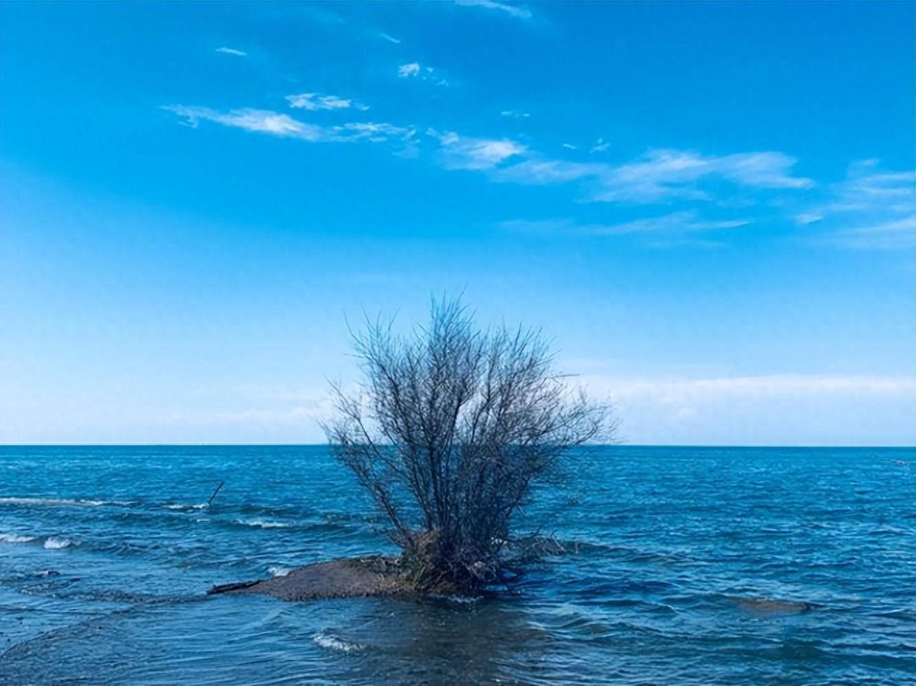 盐海湖图片