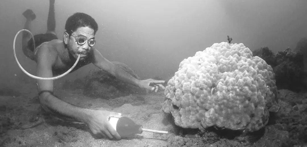 菲律宾炒作中国"氰化物捕鱼"?又是贼喊捉贼的把戏!_捕捞_珊瑚礁_美国