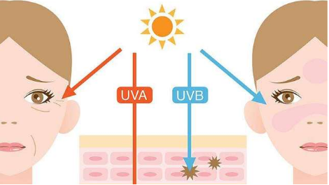 揭示紫外线背后的秘密_皮肤_黑色素_表层