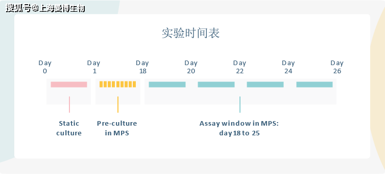 利用肠道微生理系统预测人体药物渗透性微流控器官芯片曼博生物