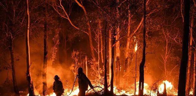 澳大利亚山火引发的思考.一般地说,每隔5～25年,森林会自燃一次.