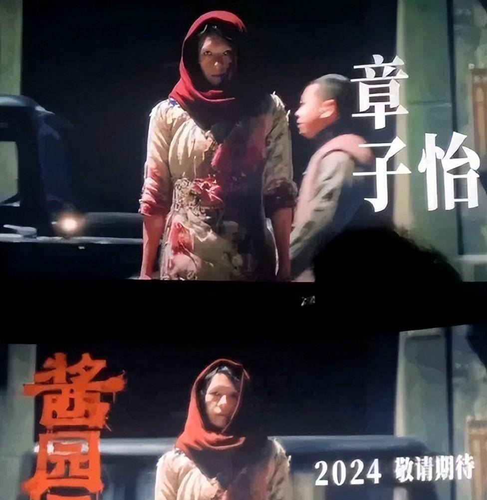 章子怡《酱园弄》阵容再起风波,传张子枫力压杨幂赵丽颖演女二号_电影