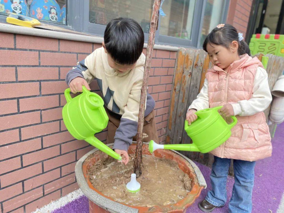 植此青绿 共树未来——爱乐美觉幼儿园植树节活动