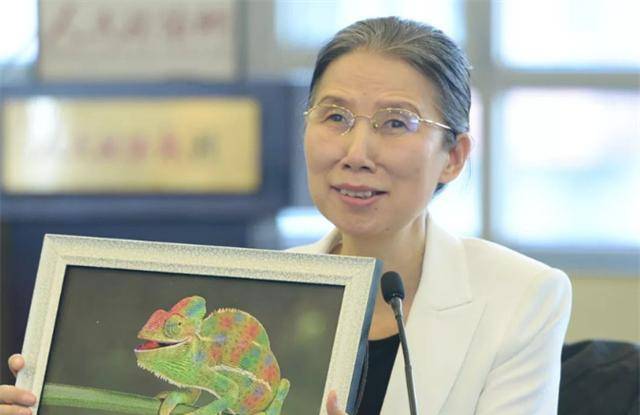 原创杨佳22岁考入中科院29岁失明丈夫提出离婚8年后入哈佛