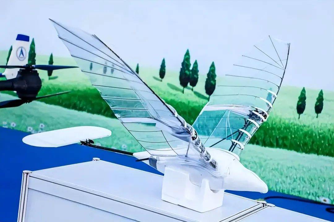 原创黑科技问世西工大创造仿鸟飞行器连续2小时飞行挑战美国创新