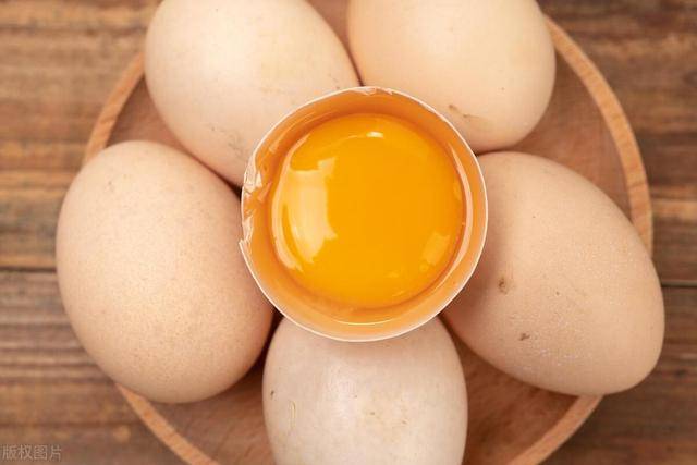 胆结石能吃鸡蛋吗图片