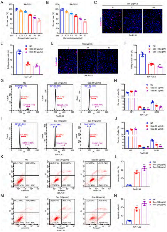 芝麻治风湿滑膜类器官揭秘芝麻酚对类风湿性关节炎的治疗潜力