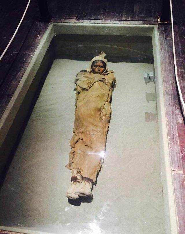 考古出土的千年尸体该如何处理专家太恶臭了直接火化