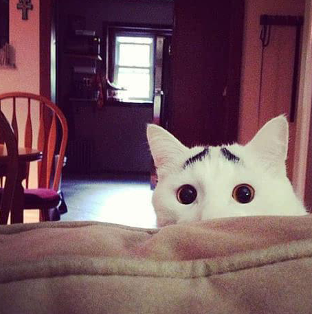 看起来总是一脸无辜的样子,表情非常搞笑六,囧脸samlilbub,因为生病