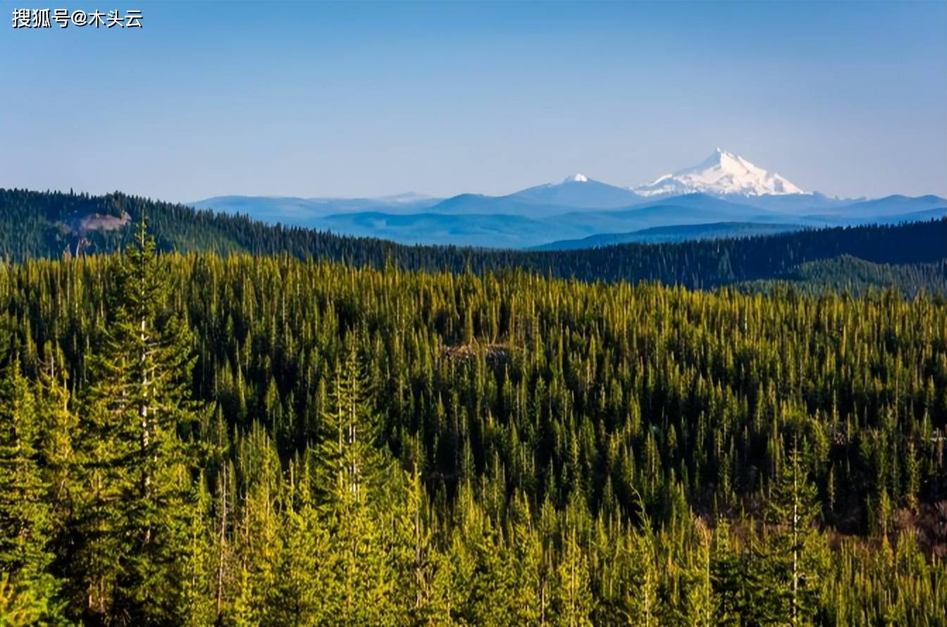 尽管这项计划旨在使俄勒冈州西部的森林与联邦《濒危物种法》